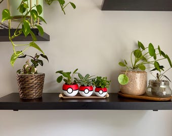 Set mit 3 Mini-Pokéball-Töpfen mit oder ohne Untersetzer – 3D-gedruckte Pflanzgefäße – Pokémon-Dekoration – Pflanzen und Sukkulenten