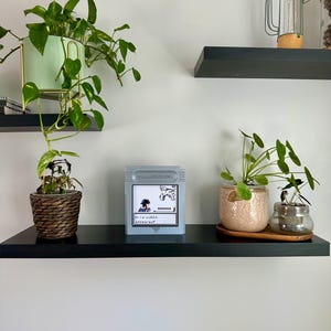 Lugia Game Boy Wall Art | Pokémon Pixel Art Frame | Retro Gaming Decor | 3D Printed Wall Decor | Pokémon Gift | Handmade France
