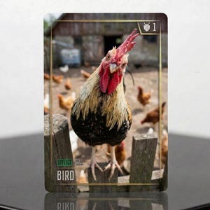 Puede incluir: Una tarjeta de juego rectangular con una fotografía de un gallo de pie sobre un poste de madera. La tarjeta incluye el texto DEFLECT y BIRD en la esquina inferior izquierda, y el número 1 con un icono de escudo en la esquina superior derecha.