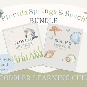 Pacote de atividades educativas para crianças pequenas na praia de Florida Springs | Atividades na natureza (Download digital)