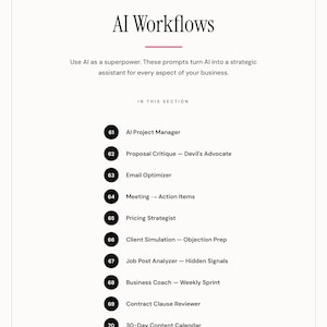 May include: A page titled "AI Workflows" with a pink border. The text lists prompts to use AI as a strategic assistant. Sections include AI Project Manager, Email Optimizer, Pricing Strategist, and 30-Day Content Calendar.