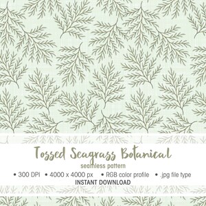 Könnte beinhalten: Ein nahtloses Muster mit einem botanischen Design aus geworfenem Seegras. Das Muster hat einen hellgrünen Hintergrund mit einem sich wiederholenden Design aus olivgrünen Seegraszweigen. Der Text "Tossed Seagrass Botanical" wird angezeigt.