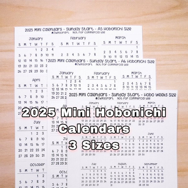 Last Year 2025 Mini Calendar Stickers: Hobonichi Planner, Sunday Start (A5, A6, Weeks)