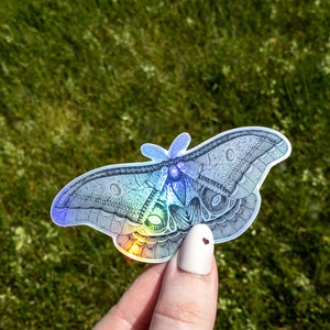 Moth Holographic Sticker 4 inch