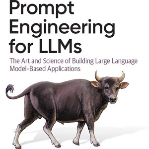 Prompt Engineering for LLMs - The Art and Science of Building Large Language Model–Based Applications