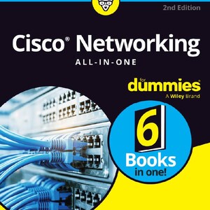 2026 - Craquelée 2nd Edition