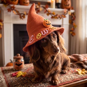 May include: A long-haired brown dachshund wearing a pointed orange knit hat. The hat features a small plush pumpkin accent and the word "Elowen" embroidered in colorful, raised letters across the front brim. The dog has large, dark eyes.