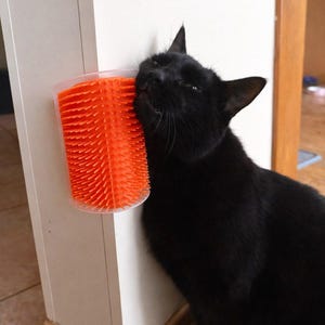 May include: An orange cat scratcher brush is mounted on a white wall. A black cat is rubbing its face against the brush. The brush has many orange bristles. The cat is black with a shiny coat.