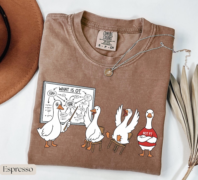 May include: Espresso-coloured t-shirt with a cartoon of geese in a classroom. One goose points to a diagram labelled "WHAT IS OT." Other geese sit in chairs, and one wears a "NOT PT" shirt. A silver necklace with a pendant is also visible.