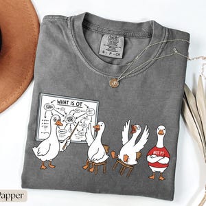 May include: A grey Comfort Colors t-shirt with a cartoon of geese in a classroom. One goose points at a diagram labelled "WHAT IS OT". Another goose wears a red shirt saying "NOT PT". A silver necklace with a pendant is also visible.