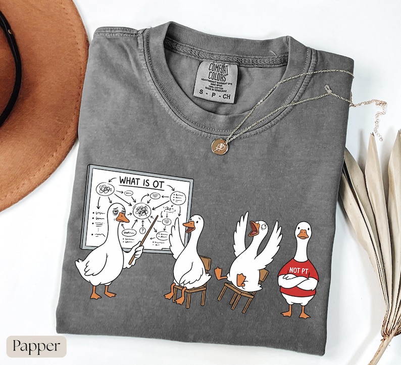 May include: A grey Comfort Colors t-shirt with a cartoon of geese in a classroom. One goose points at a diagram labelled "WHAT IS OT". Another goose wears a red shirt saying "NOT PT". A silver necklace with a pendant is also visible.