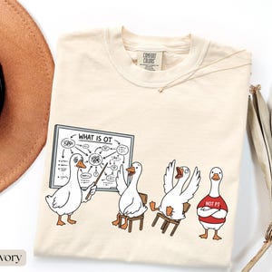 May include: Ivory-coloured t-shirt with a cartoon of geese in a classroom. One goose points to a whiteboard that says "WHAT IS OT". Other geese sit in chairs, and one wears a red shirt that says "NOT PT".