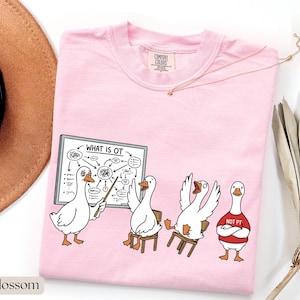 May include: Pale pink t-shirt featuring a cartoon of geese. One goose is teaching a lesson on a whiteboard that says "WHAT IS OT". Other geese are seated on chairs. One goose wears a red shirt that says "NOT PT".