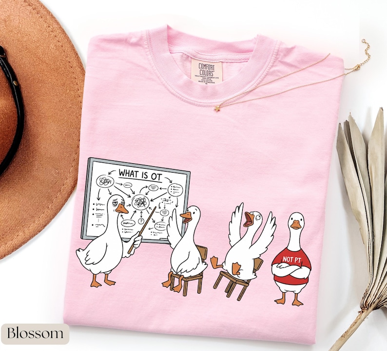 May include: Pale pink t-shirt featuring a cartoon of geese. One goose is teaching a lesson on a whiteboard that says "WHAT IS OT". Other geese are seated on chairs. One goose wears a red shirt that says "NOT PT".
