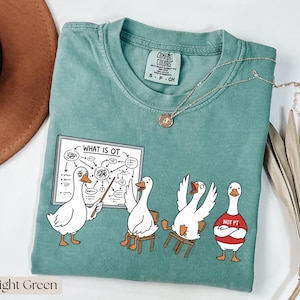 May include: Light green t-shirt featuring a cartoon goose design. One goose points to a diagram labelled "WHAT IS OT." Other geese are seated or wear a "NOT PT" shirt. A silver necklace with a pendant is also visible.