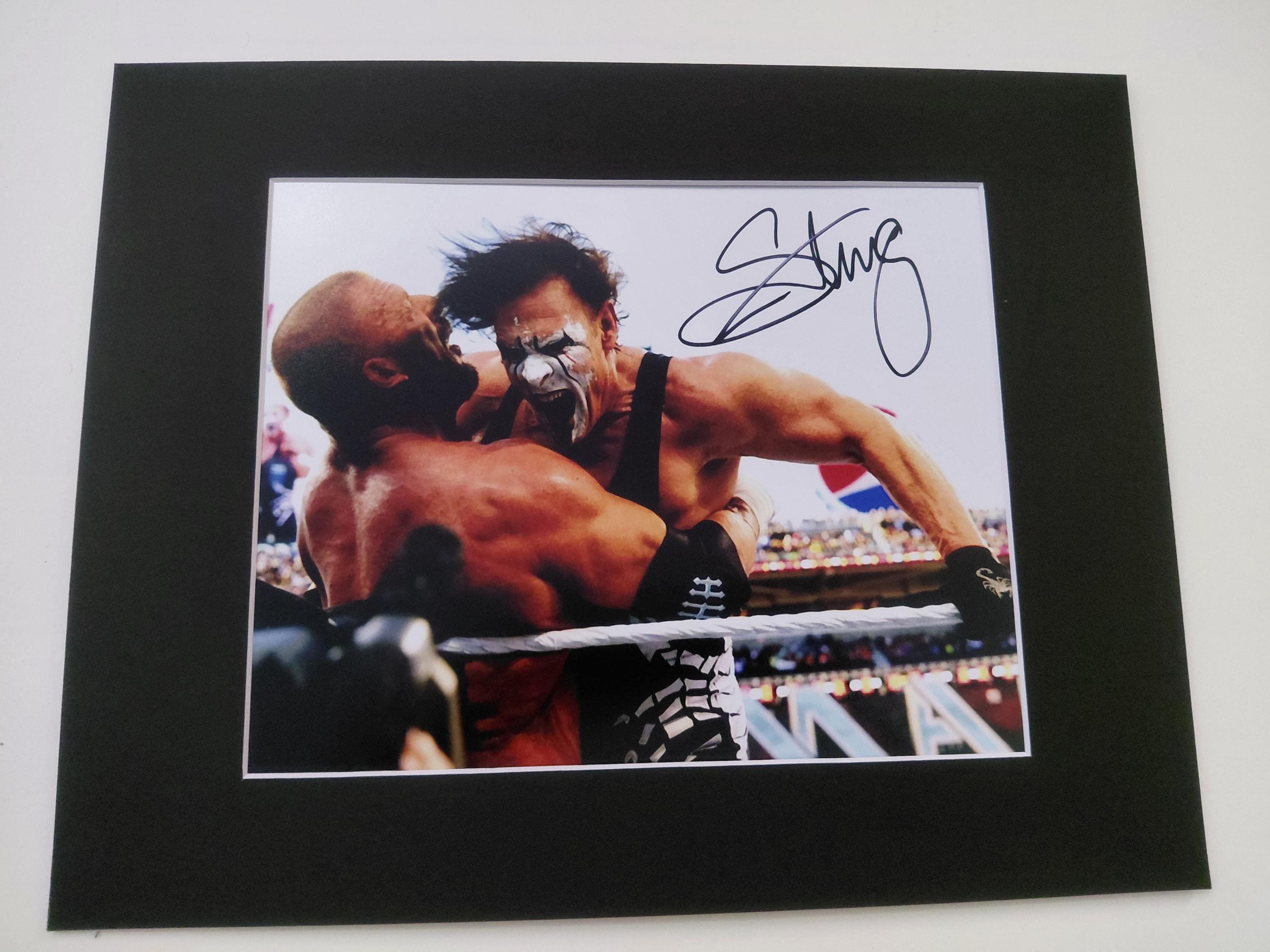 Sting autograph - Etsy 日本