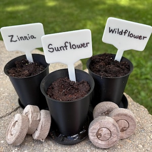 May include: Three black plastic pots filled with dark soil, each featuring a white rectangular plant marker labeled Zinnia, Sunflower, or Wildflower. Several compressed brown peat pellets are arranged in front of the pots on a stone surface.