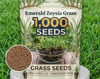 May include: A package of Emerald Zoysia Grass seeds, with a close-up of seeds in a circle. The package reads "1,000 SEEDS" and "GRASS SEEDS". The image also shows a small bowl of sprouted grass. USDA Zones 3-10. Homegrown seeds.