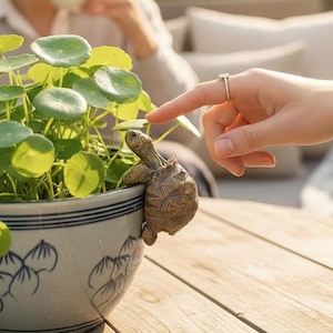 Puede incluir: Una pequeña figura decorativa de tortuga se aferra al lado de una maceta de cerámica azul y blanca llena de plantas verdes. La maceta está sobre una mesa de madera. Una persona está tocando la planta con su dedo.