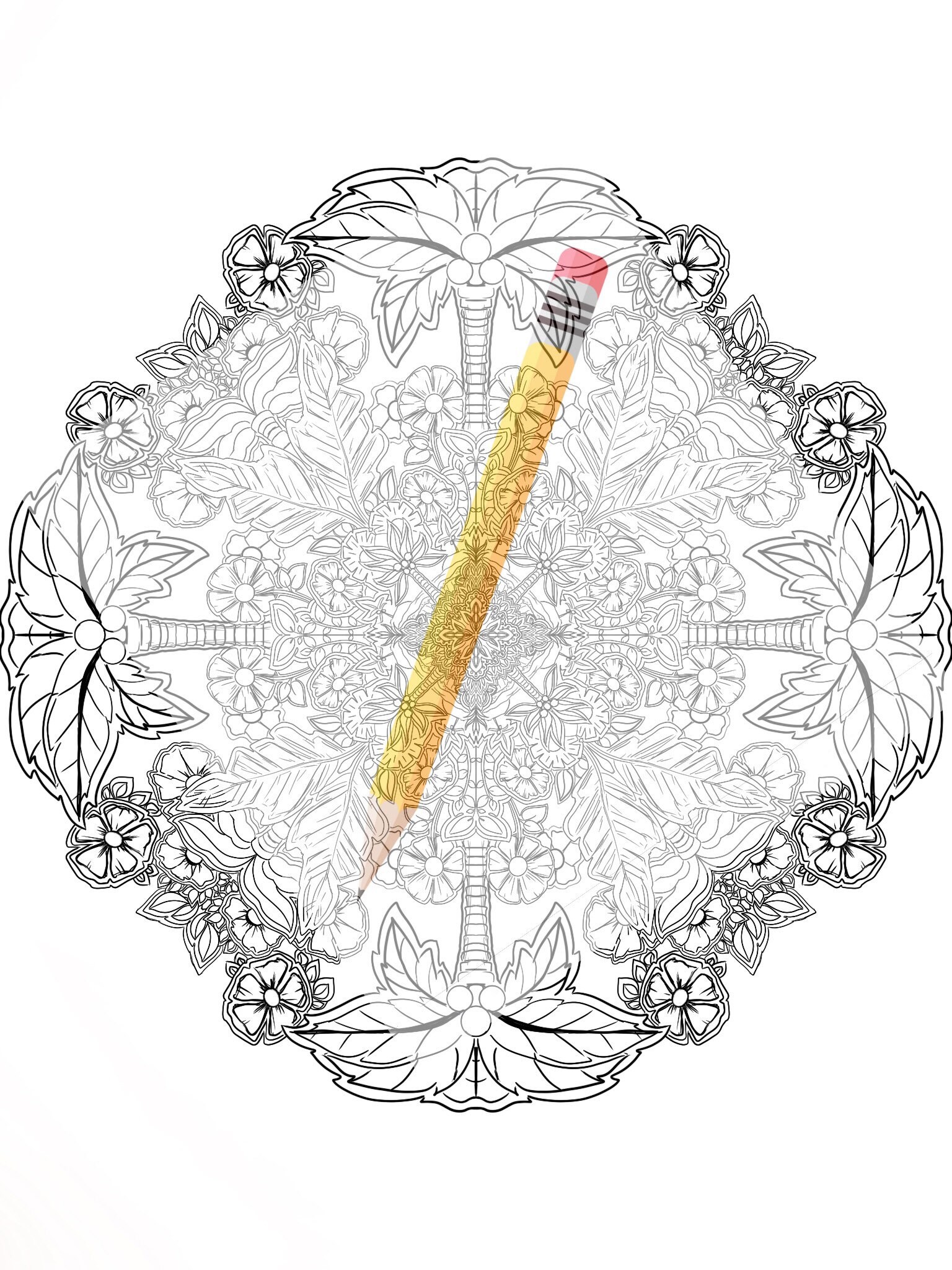 Creative Diva Colouring Book | Etsy