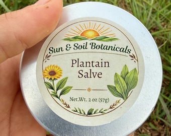 Handcrafted Plantain Salve | Organic Skin Soothing Balm, Homegrown Foraged Plantain