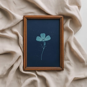 Pode incluir: Uma impressão botânica emoldurada com uma flor ciano em um fundo azul escuro. A moldura de madeira tem um tom marrom quente. A impressão é colocada em um fundo de tecido bege, criando uma estética suave e natural.