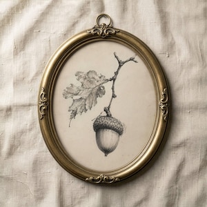 Peut inclure: Un dessin au crayon d'un gland, d'une feuille de chêne et d'une branche est encadré dans un cadre ovale doré de style antique. L'œuvre est posée sur un fond crème, les détails décoratifs du cadre accentuant son esthétique vintage.