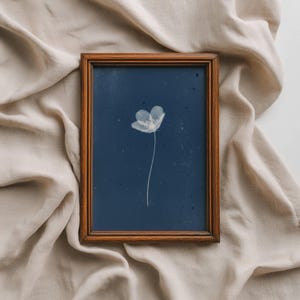 Pode incluir: Uma impressão botânica emoldurada com uma delicada flor branca sobre um fundo azul escuro. A flor tem um caule fino e pétalas detalhadas. A moldura é feita de madeira escura, adicionando um toque clássico à obra de arte.