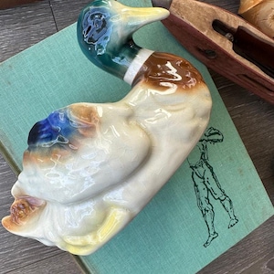 Vintage Mallard Duck Planter | Ceramic Bird Cachepot | Cottagecore Woodland Decor | Rustic Farmhouse Planter | Vintage Bird Pot