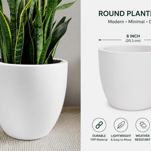 Puede incluir: Una maceta redonda blanca con acabado liso. El texto dice ROUND PLANTER POT, Modern, Minimal, Durable. Las dimensiones son 20,3 cm por 20,3 cm. Los iconos indican material FRP duradero, peso ligero y resistencia a la intemperie.