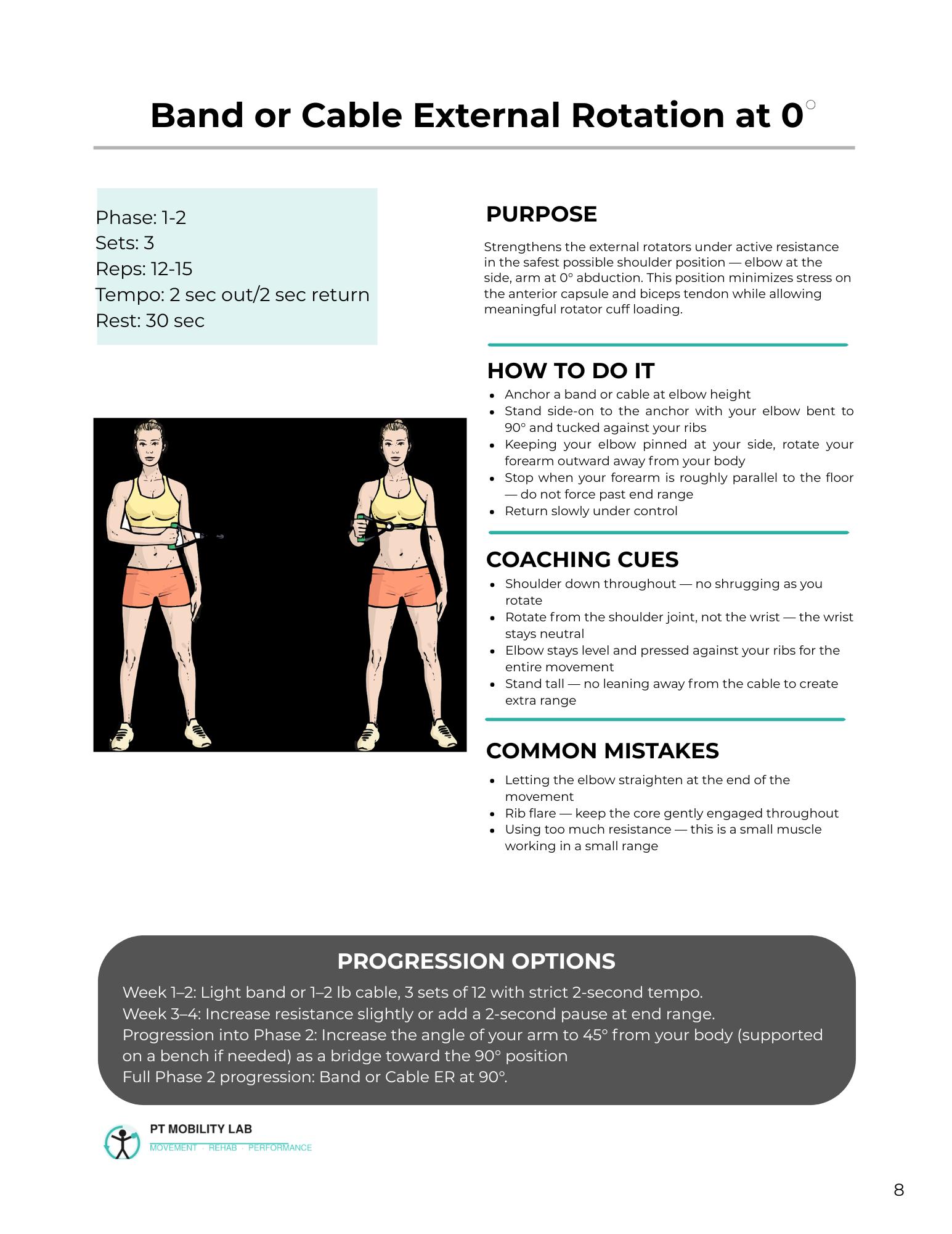 Rotator Cuff Strength Program for Lifters | 6-week PT Rehab PDF - Etsy