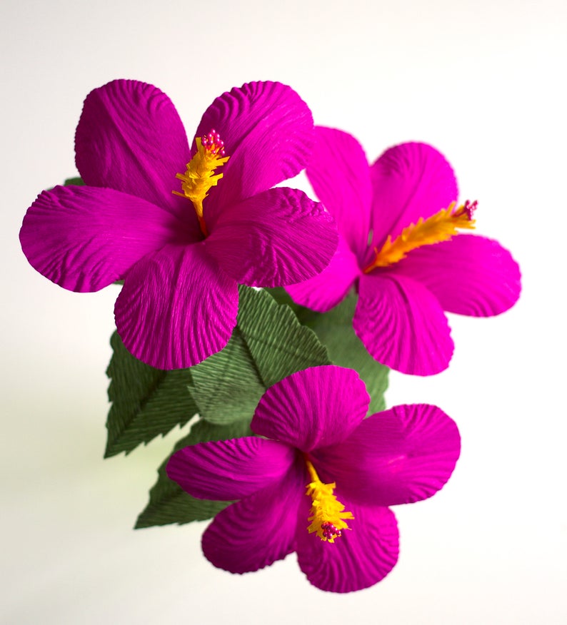3 Hibiscus Paper Flowershandmade Paper Flowersgift Etsy Israel