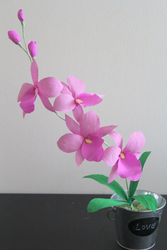 paper orchid crepe paper orchid cattleya orchid Etsy