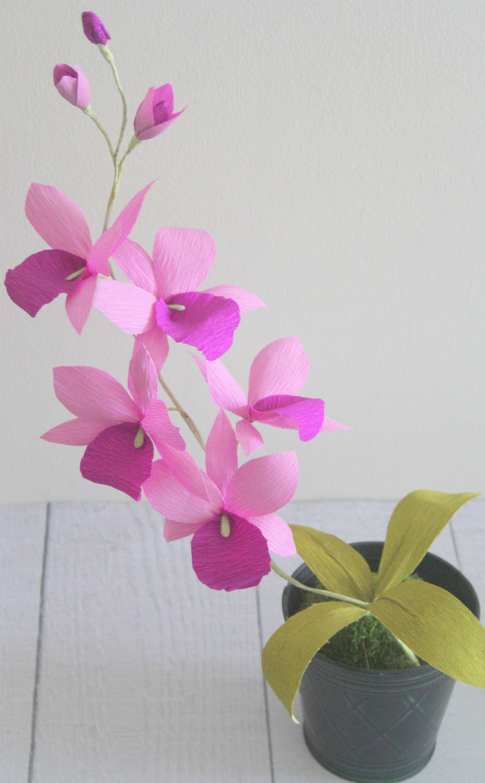 Paper Orchidpaper Flowerscattleya Orchid Etsy