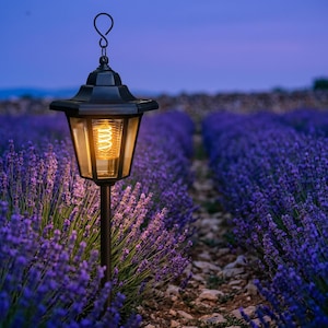 Juego de 2 faroles solares de jardín con estaca, estilo vintage, con filamento LED, ideales para exteriores. Regalo perfecto para jardín, inauguración de casa, cumpleaños o patio. Color negro.