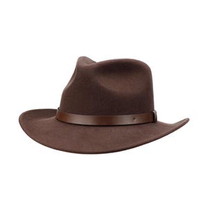 May include: A dark brown felt fedora hat featuring a structured crown with a central crease and a wide, slightly curved brim. A smooth, matching dark brown leather band encircles the base of the crown, secured with a small, simple loop detail.