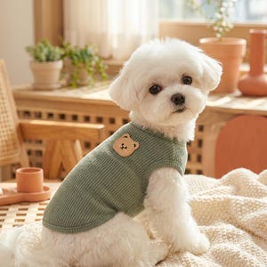 May include: A small white dog wearing a sage green ribbed tank top with a light brown bear patch. The dog is sitting on a cream-colored blanket. The background includes plants and wooden furniture.
