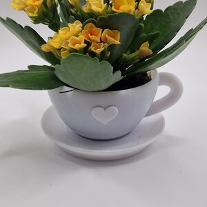 Pode incluir: Uma pequena planta em vaso com flores amarelas e folhas verdes num vaso branco em forma de ch&aacute;vena com um desenho de cora&ccedil;&atilde;o. A ch&aacute;vena de ch&aacute; assenta num pires a condizer. O fundo &eacute; branco.