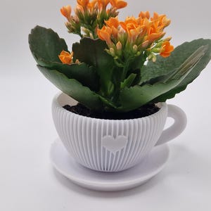 Pode incluir: Um vaso de flores branco em forma de ch&aacute;vena com um cora&ccedil;&atilde;o, com um pires, contendo uma planta florida com folhas verdes e flores laranja. A ch&aacute;vena tem um design canelado e uma pega. Um artigo decorativo.