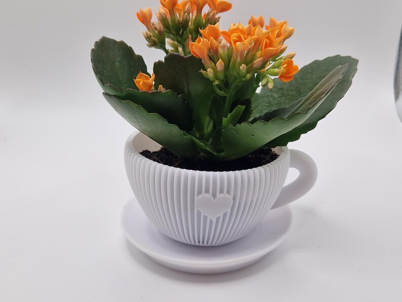 Pode incluir: Um vaso de flores branco em forma de ch&aacute;vena com um cora&ccedil;&atilde;o, com um pires, contendo uma planta florida com folhas verdes e flores laranja. A ch&aacute;vena tem um design canelado e uma pega. Um artigo decorativo.