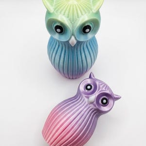 Puede incluir: Dos figuras decorativas de b&uacute;ho. El b&uacute;ho m&aacute;s grande es un degradado de verde, azul y morado. El b&uacute;ho m&aacute;s peque&ntilde;o es un degradado de morado y rosa. Ambos tienen ojos negros y picos blancos.