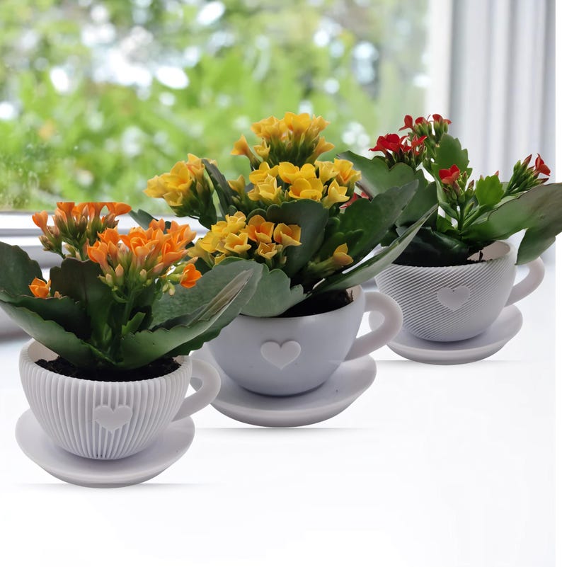 Pode incluir: Tr&ecirc;s pequenas plantas em vasos em x&iacute;caras de ch&aacute; brancas com pires. As plantas t&ecirc;m flores laranja, amarelas e vermelhas. As x&iacute;caras de ch&aacute; t&ecirc;m um desenho de cora&ccedil;&atilde;o e est&atilde;o em uma superf&iacute;cie branca perto de uma janela.