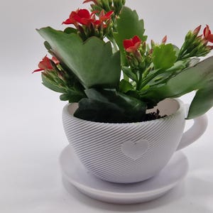 Pode incluir: Uma x&iacute;cara de ch&aacute; de cer&acirc;mica branca com um design de cora&ccedil;&atilde;o, preenchida com uma planta florida com folhas verdes e flores vermelhas vibrantes. A x&iacute;cara est&aacute; em um pires correspondente, criando uma exibi&ccedil;&atilde;o charmosa e decorativa.