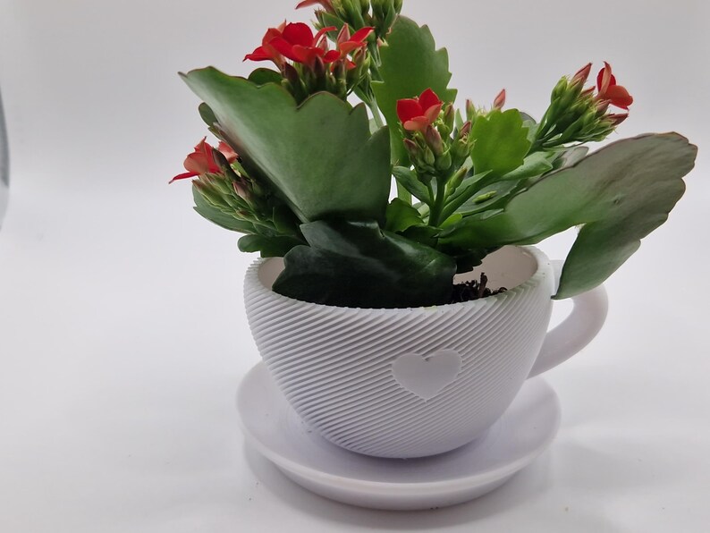 Pode incluir: Uma x&iacute;cara de ch&aacute; de cer&acirc;mica branca com um design de cora&ccedil;&atilde;o, preenchida com uma planta florida com folhas verdes e flores vermelhas vibrantes. A x&iacute;cara est&aacute; em um pires correspondente, criando uma exibi&ccedil;&atilde;o charmosa e decorativa.
