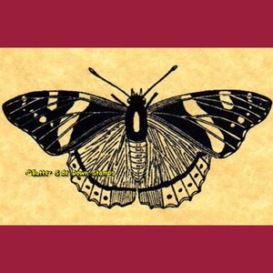 Red Admiral Butterfly Rubber Stamp image 1