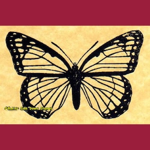 Viceroy Butterfly Rubber Stamp