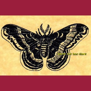 May include: Black and white illustration of a moth with intricate wing patterns on a beige background. The text "Butter Side Down Stamps" is printed in yellow at the bottom of the image.