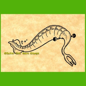Tully Monster Fossil Stempel Fossilien Stempel Fossilien Stempel