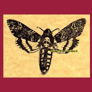 Death's-head Hawkmoth Rubber Stamp