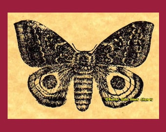 Io Moth Rubber Stamp